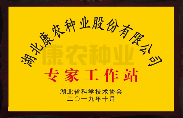 博天堂(918)官方网站 - 让你更精彩专家工作站
