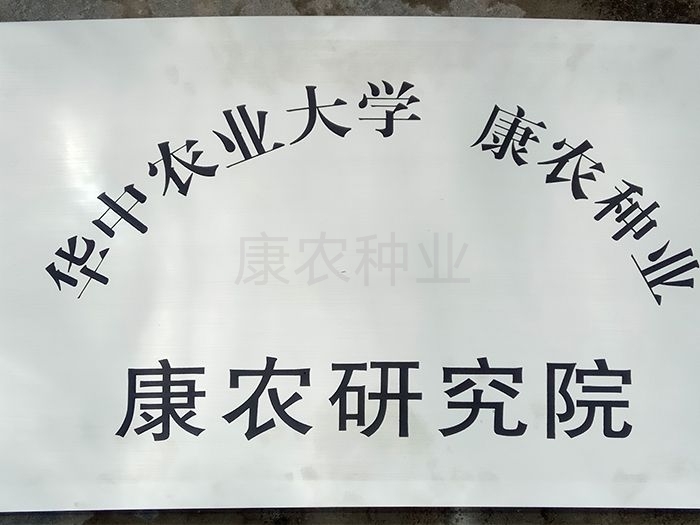 918博天堂研究院