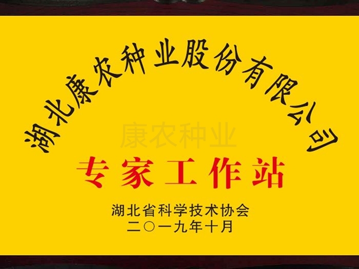 博天堂(918)官方网站 - 让你更精彩专家工作站