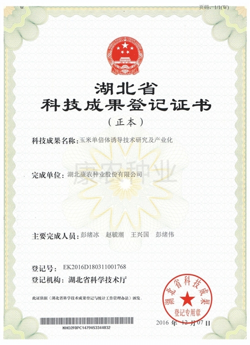 玉米单倍体诱导技术研究及产业化（正本）