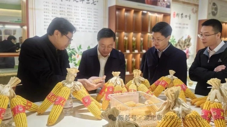 湖北农发集团党委副书记、总经理赵芝斌一行赴918博天堂种业考察调研