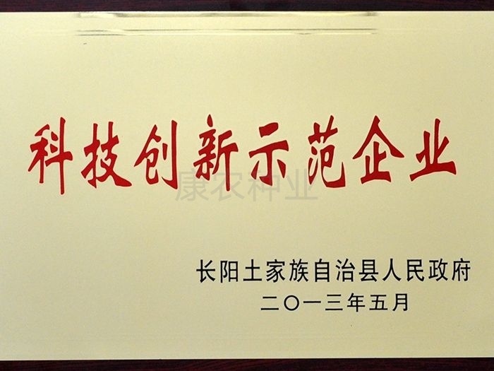 Technological Innovation Demonstration Enterprise