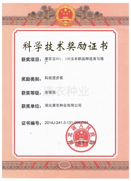 Breeding and promotion of new corn varieties of Kangnongyu 901 and 108 (3rd prize of Science and Technology Progress Award)