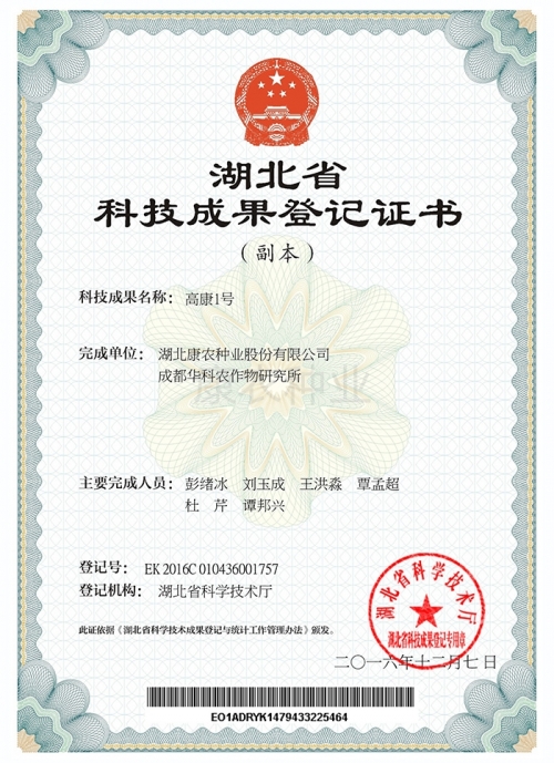 Gaokang No. 1 [Registration Certificate]